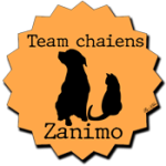 badge team zanimo chaiens (chat et chien) oranger